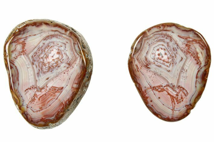 Polished, Banded Bahia Agate Nodule Pair - Brazil #314692